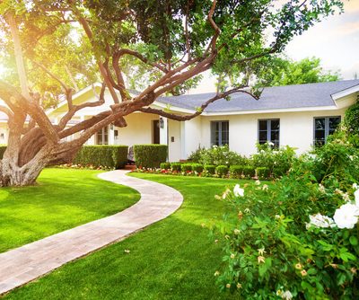 4-ways-how-protect-trees-during-building-remodeling-400x334